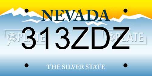 313ZDZ Nevada License Plate