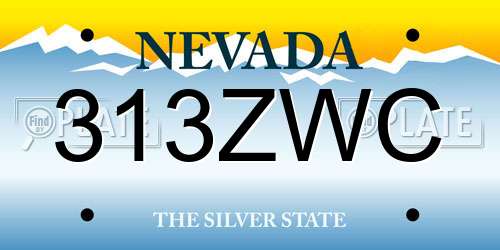 313ZWC Nevada License Plate