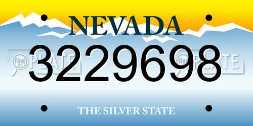 3229698 Nevada License Plate