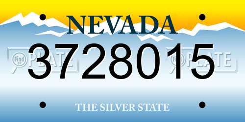 3728015 Nevada License Plate