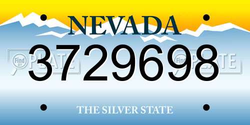 3729698 Nevada License Plate
