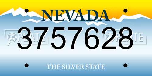 3757628 Nevada License Plate