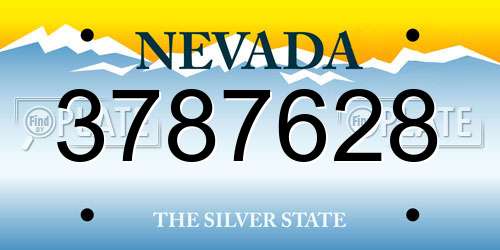 3787628 Nevada License Plate