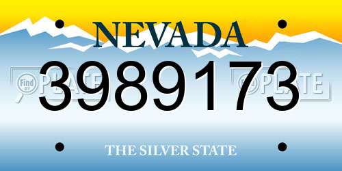 3989173 Nevada License Plate