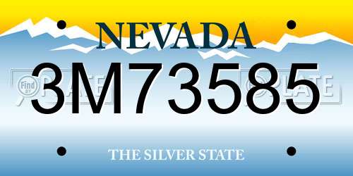 3M73585 Nevada License Plate
