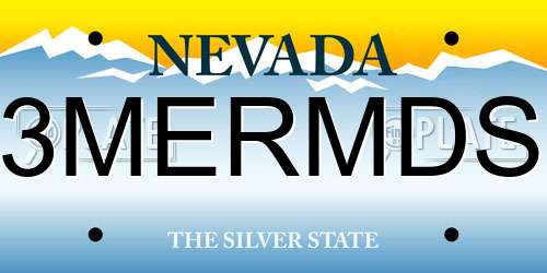 3MERMDS Nevada License Plate
