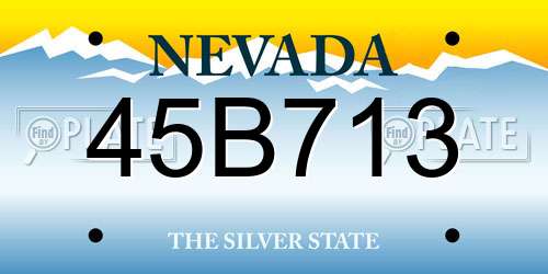 45B713 Nevada License Plate