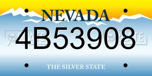 4B53908 Nevada License Plate