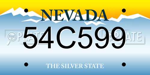 54C599 Nevada License Plate