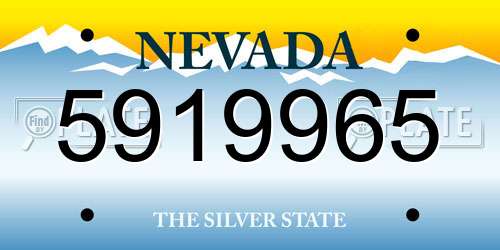 5919965 Nevada License Plate
