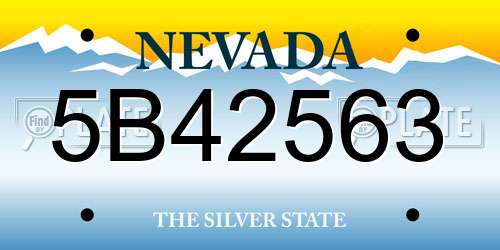 5B42563 Nevada License Plate