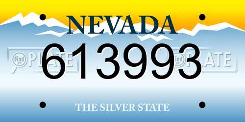 613993 Nevada License Plate