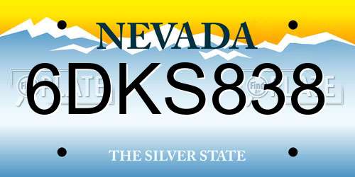 6DKS838 Nevada License Plate