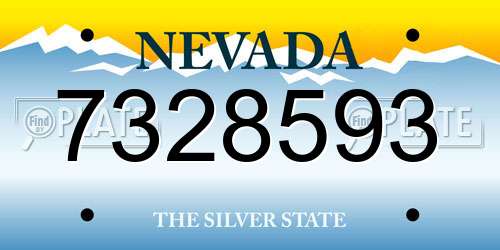 7328593 Nevada License Plate