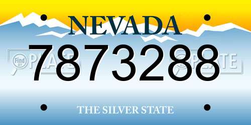 7873288 Nevada License Plate
