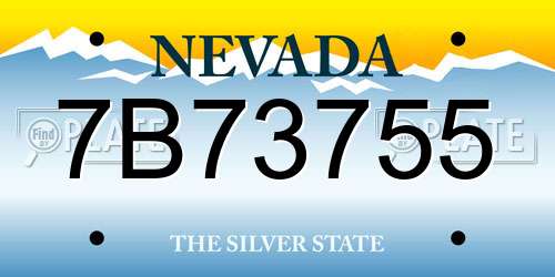 7B73755 Nevada License Plate