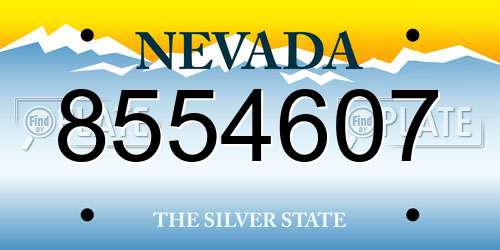 8554607 Nevada License Plate