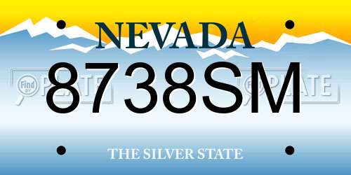 8738SM Nevada License Plate