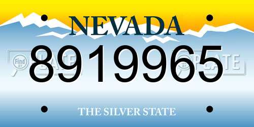 8919965 Nevada License Plate