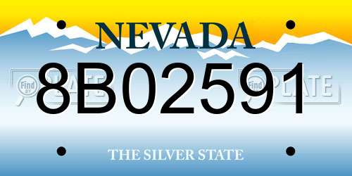 8B02591 Nevada License Plate