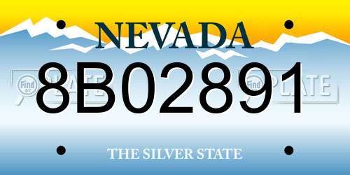 8B02891 Nevada License Plate