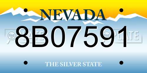 8B07591 Nevada License Plate