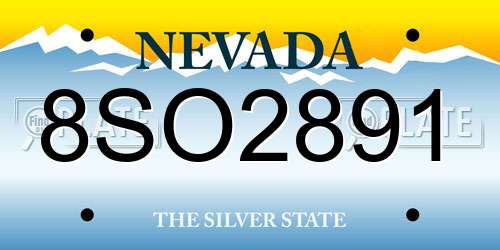 8SO2891 Nevada License Plate