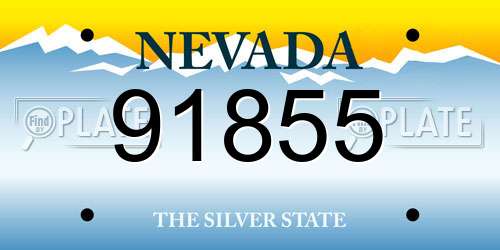 91855 Nevada License Plate