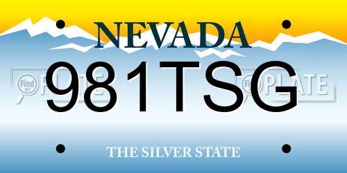981TSG Nevada License Plate