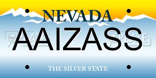 AAIZASS Nevada License Plate