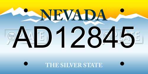 AD12845 Nevada License Plate