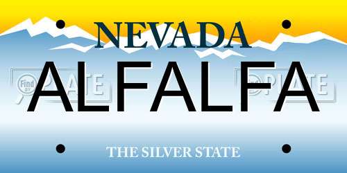 ALFALFA Nevada License Plate