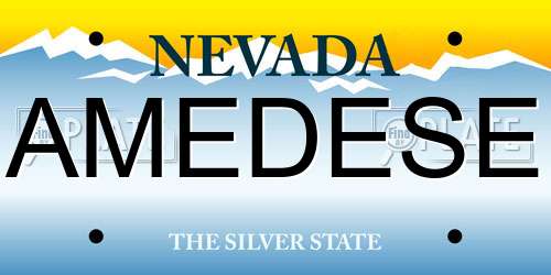 AMEDESE Nevada License Plate