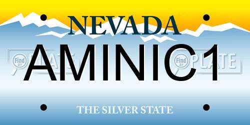 AMINIC1 Nevada License Plate