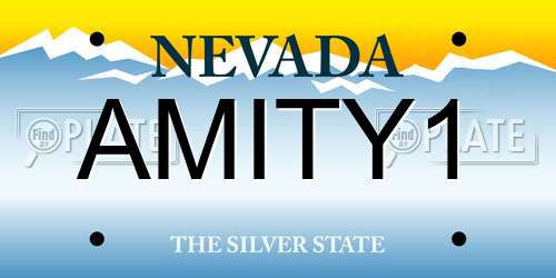 AMITY1 Nevada License Plate