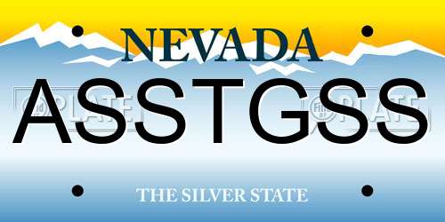 ASSTGSS Nevada License Plate