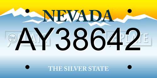 AY38642 Nevada License Plate