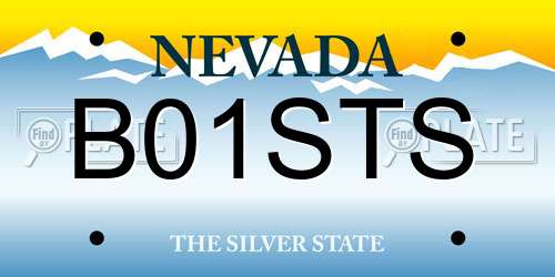 B01STS Nevada License Plate