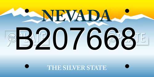 B207668 Nevada License Plate