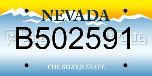 B502591 Nevada License Plate
