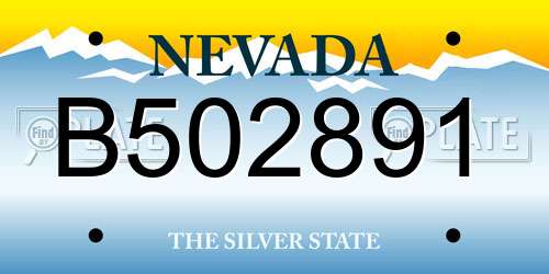 B502891 Nevada License Plate