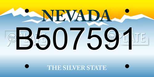 B507591 Nevada License Plate