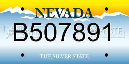 B507891 Nevada License Plate
