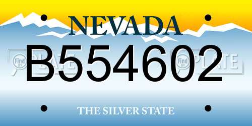B554602 Nevada License Plate