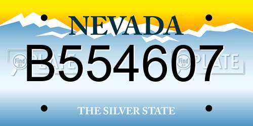 B554607 Nevada License Plate