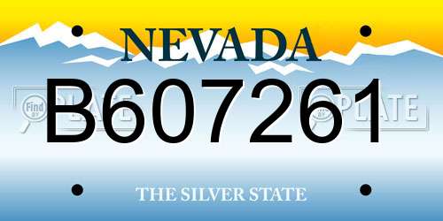 B607261 Nevada License Plate