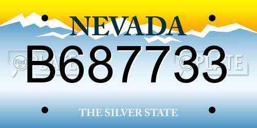 B687733 Nevada License Plate