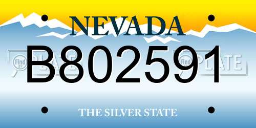 B802591 Nevada License Plate