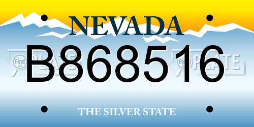 B868516 Nevada License Plate