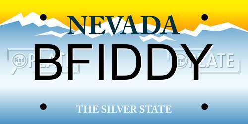 BFIDDY Nevada License Plate